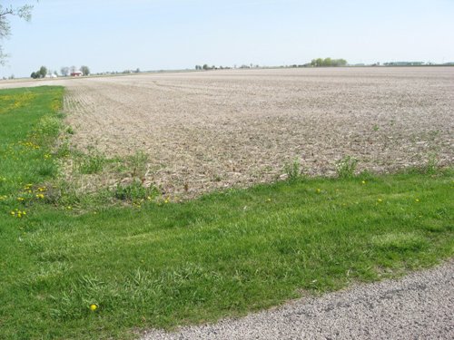 Property photo 23 - 172 Acres Offered in 3 Tracts - Prime Farmland